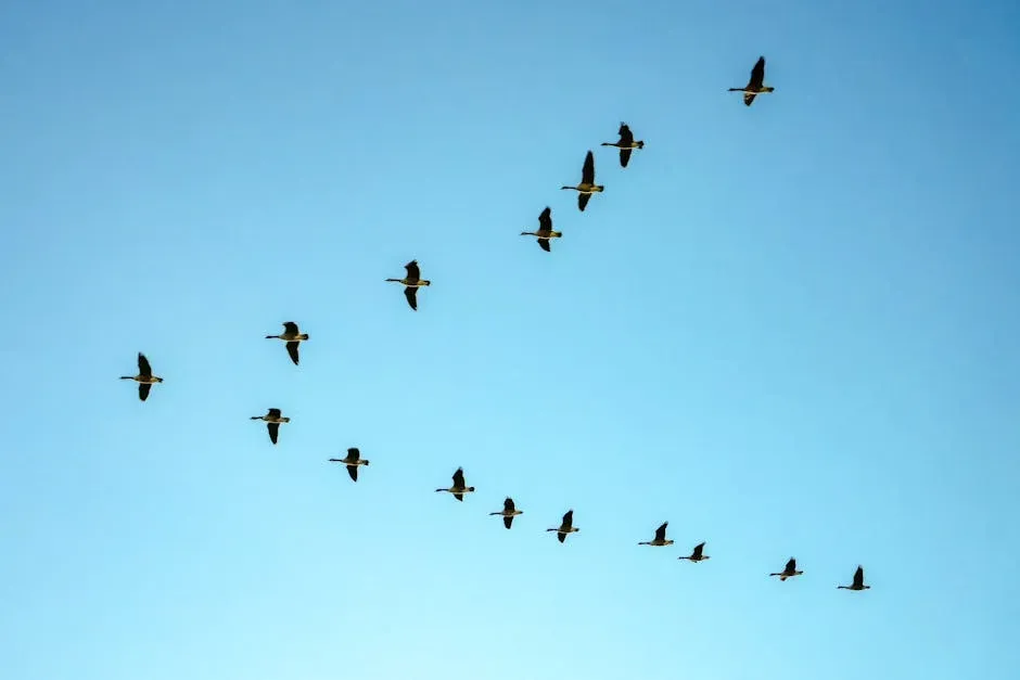 The Real Reason Birds Pack Their Bags (Image Credits: Pexels)