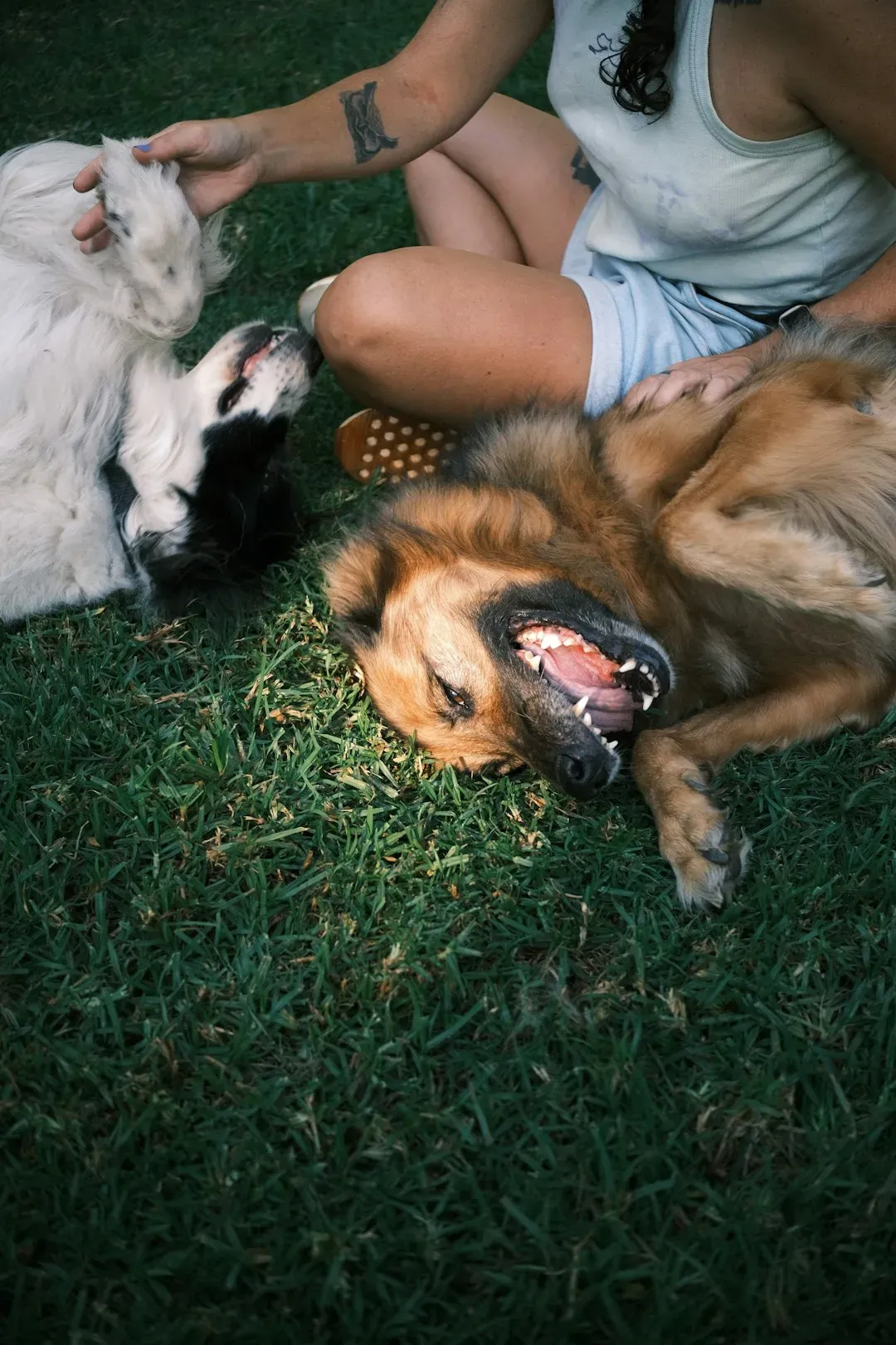They Trigger a Cascade of Feel-Good Hormones (Image Credits: Unsplash)