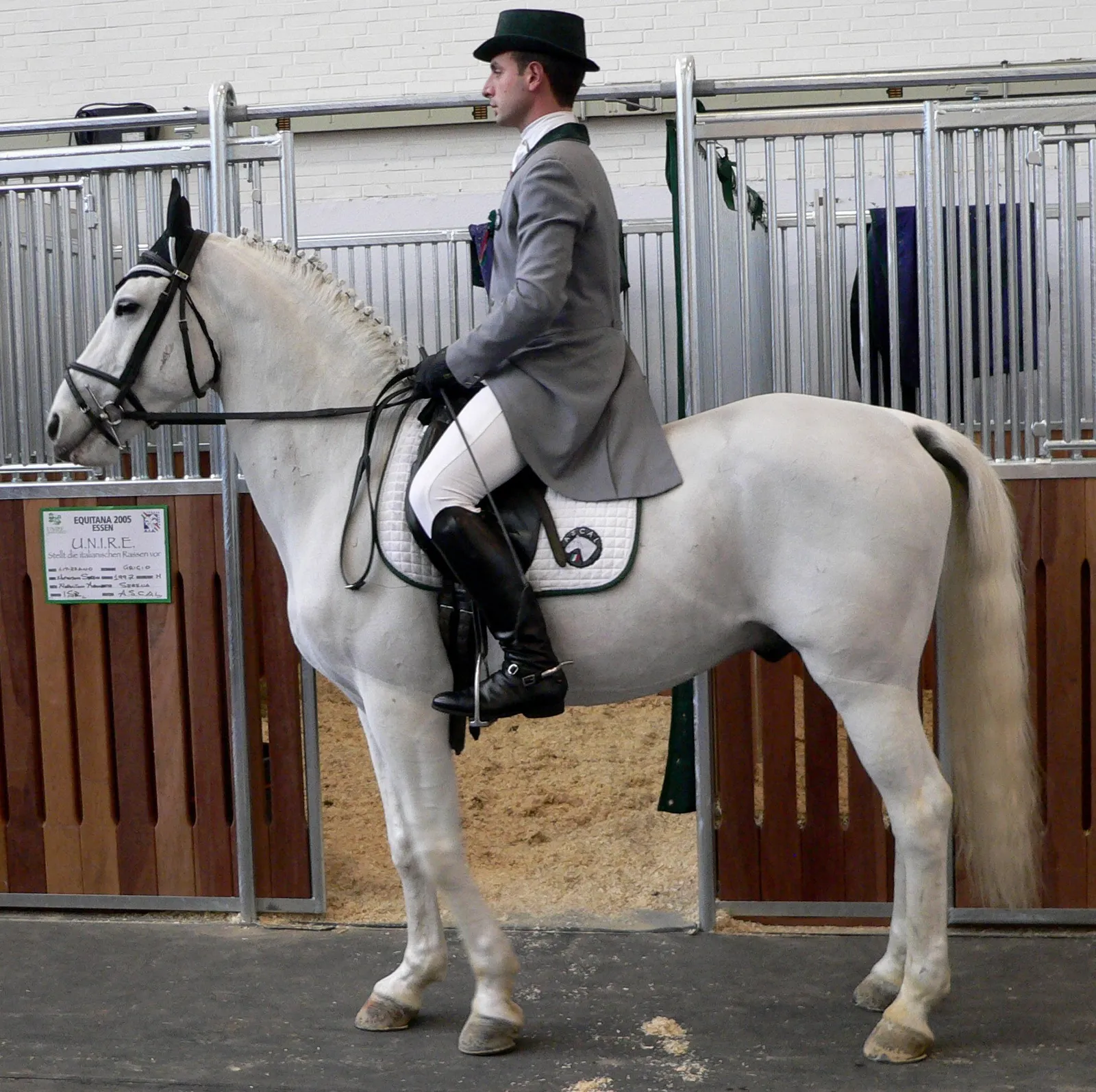 #22 - Lipizzaner: Classical Training, Modern-Day Price Tag (By BS Thurner Hof, CC BY-SA 3.0)