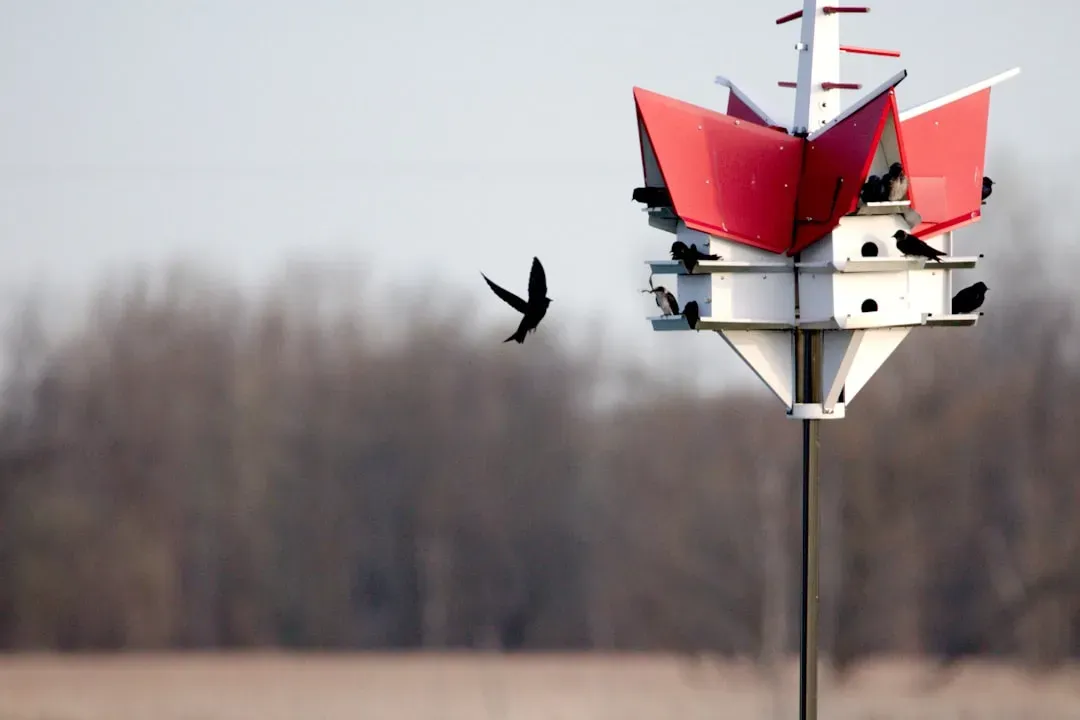 8. Install Predator Guards on the Pole (Image Credits: Unsplash)
