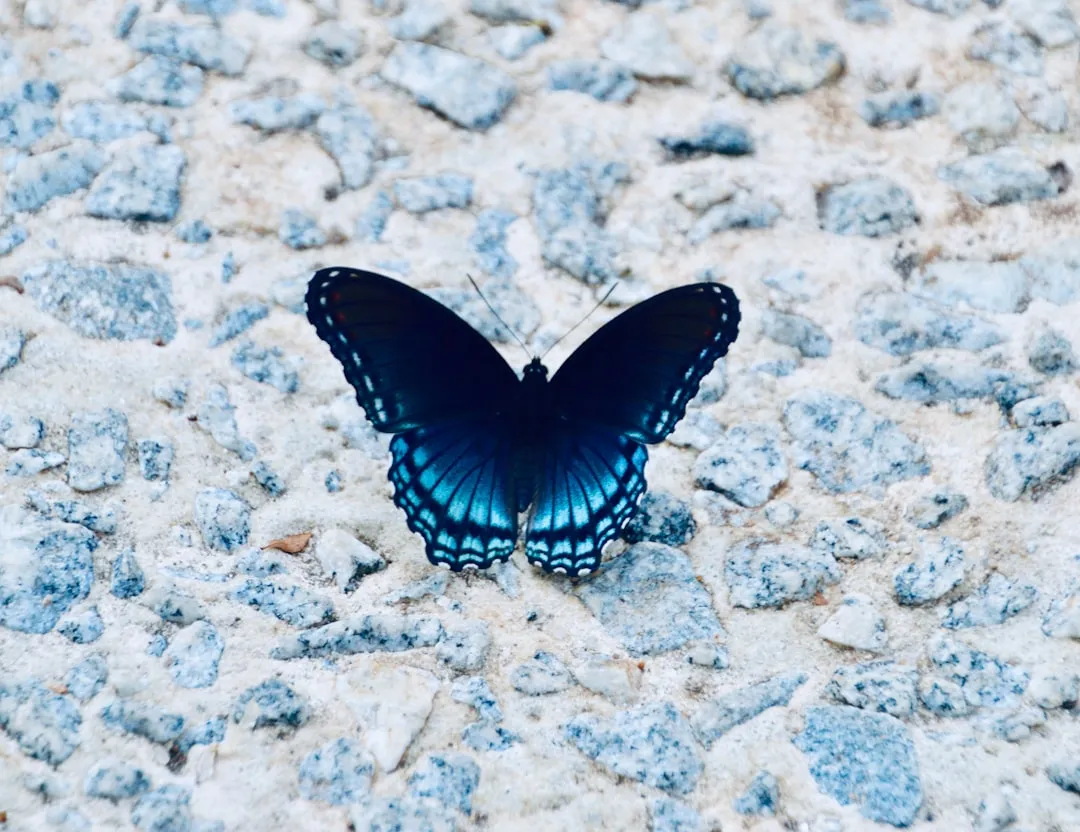 #5 Microclimate and shelter are doing more work than expected (Image Credits: Unsplash)