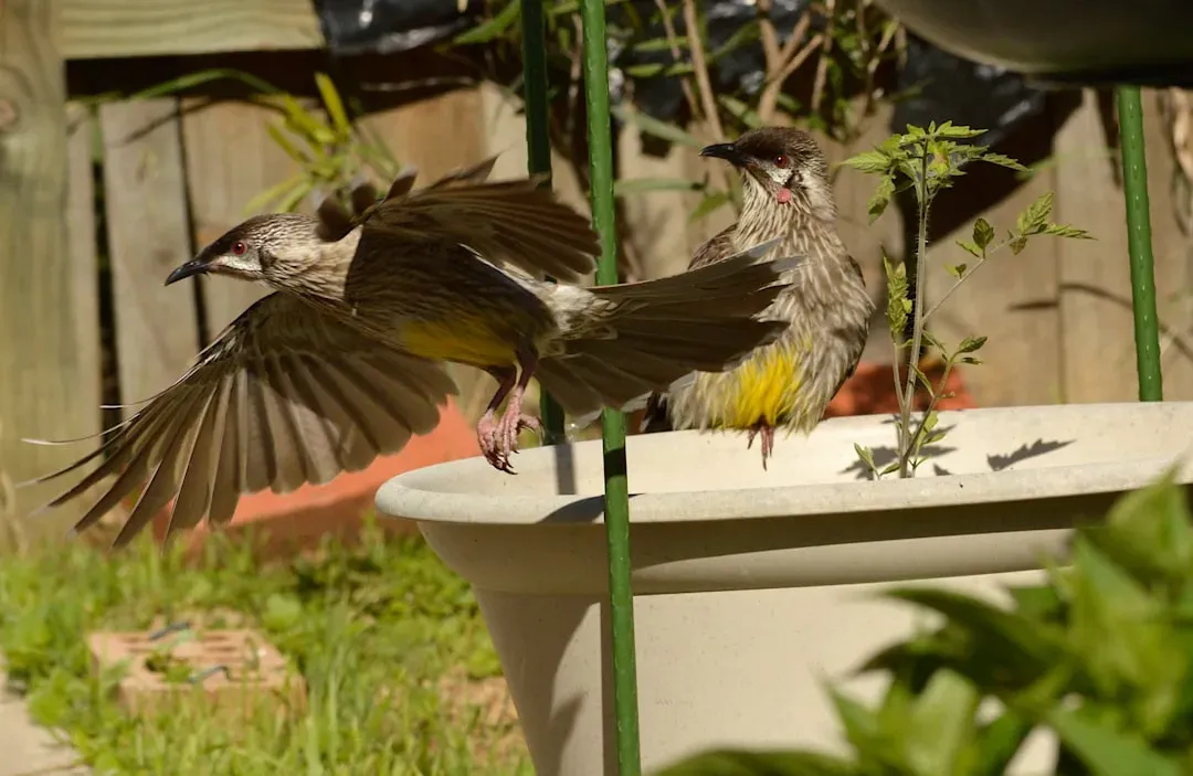 Appreciating the Subtle Language of Backyard Wildlife (Image Credits: Unsplash)