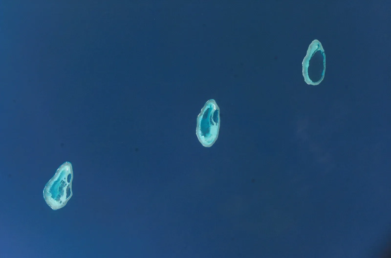 Rowley Shoals: Australia's Hidden Gems (By NASA-JSC, Public domain)