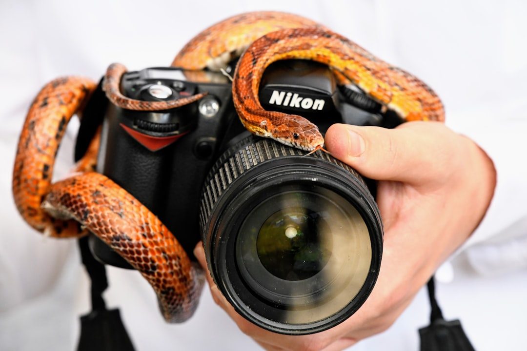 Choose Your Equipment Wisely (Image Credits: Unsplash)