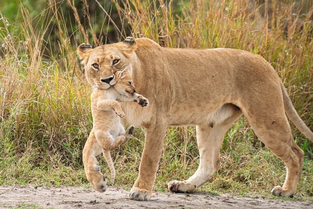 9. Protection from Predators and Low Ecological Stress (Image Credits: Unsplash)