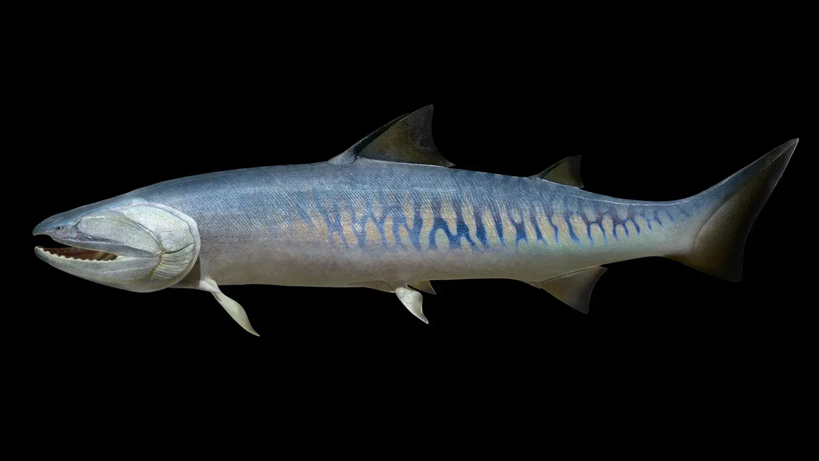 A Fossil That Nobody Saw Coming (Image Credits: Image by NICE PaleoVislab, IVPP)