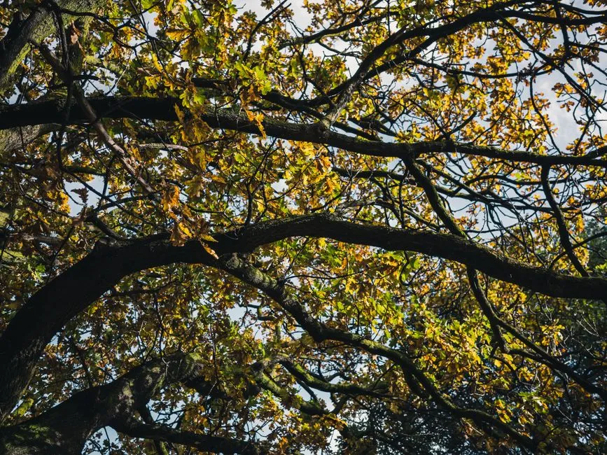 3. Layer From Thick to Thin for a Natural, Architectural Look (Image Credits: Pexels)