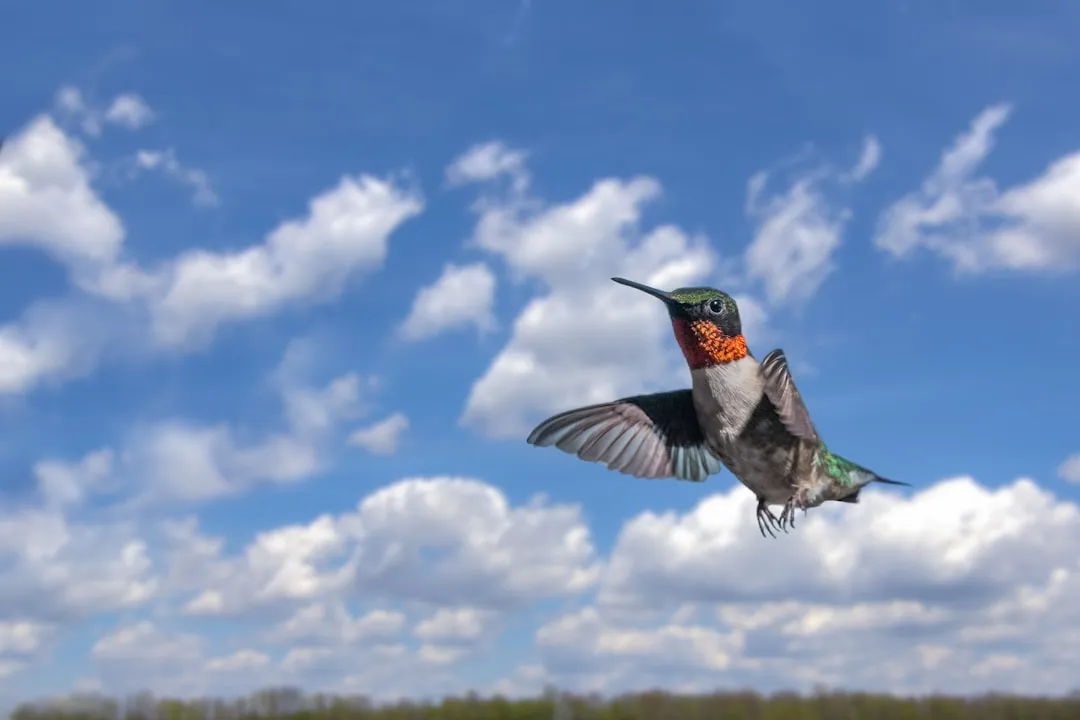 #5 - They Fly Like Tiny Radar Dishes Once the Sun Goes Down (Image Credits: Unsplash)
