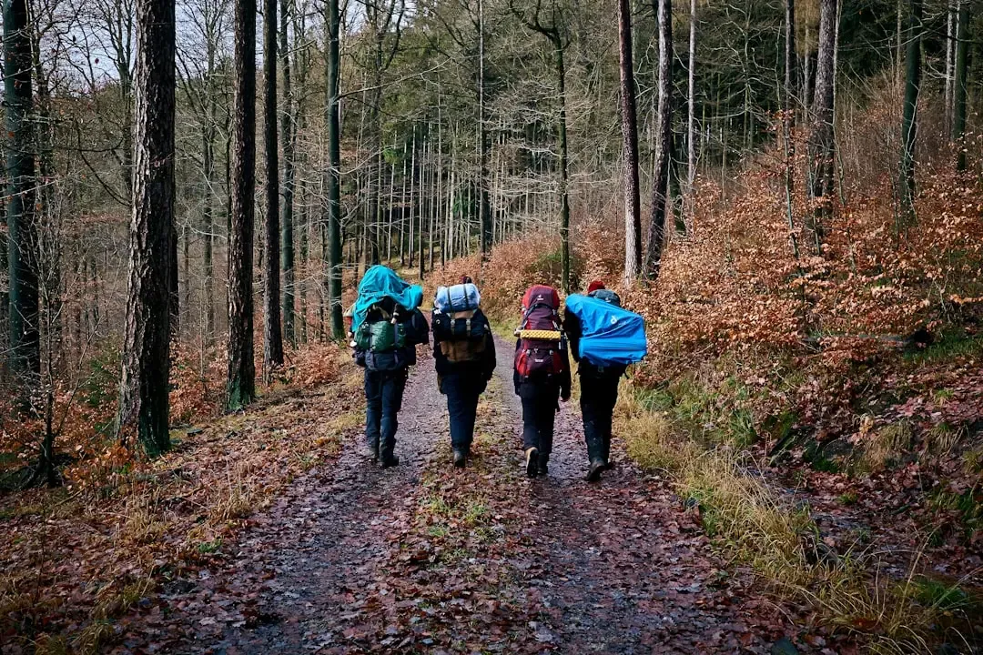 Hike in Groups and Stay on Established Trails (Image Credits: Unsplash)