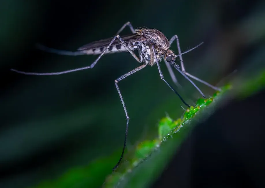 6. Mosquitoes Breeding in and Around Your Home (Image Credits: Pexels)