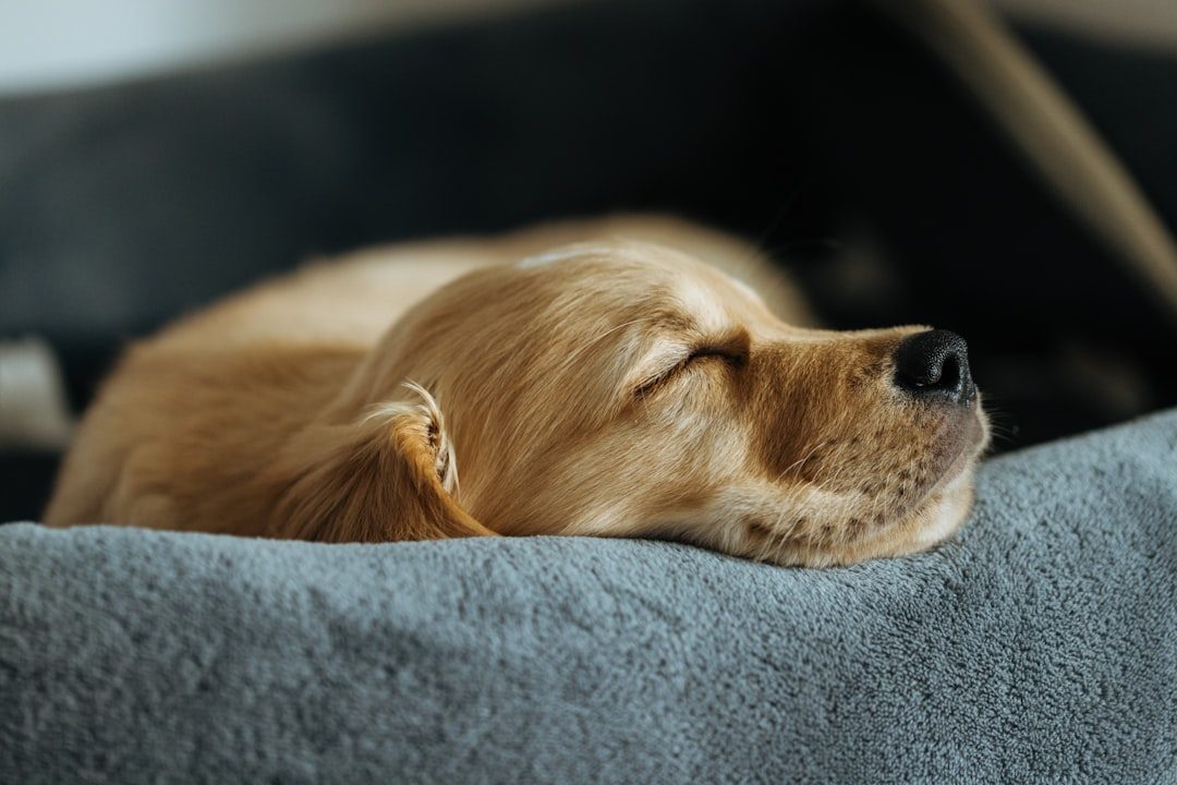 Master the Art of Sound Management (Image Credits: Unsplash)
