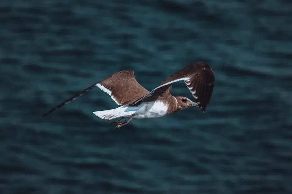 3. Sooty Shearwater: The Pacific's Figure-Eight Flier (Image Credits: Pexels)
