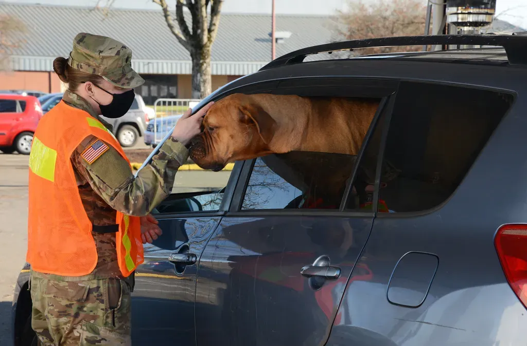 12. They Check In on You From a Distance (The National Guard, Flickr, CC BY 2.0)
