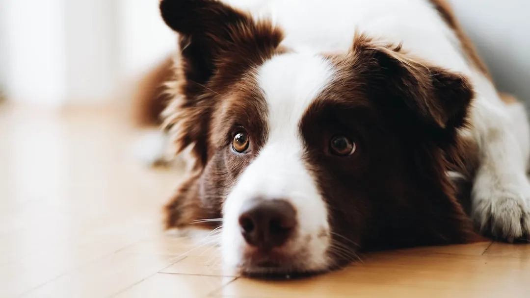 From Safe Haven to “Nope Zone”: Why This Change Matters (Image Credits: Unsplash)