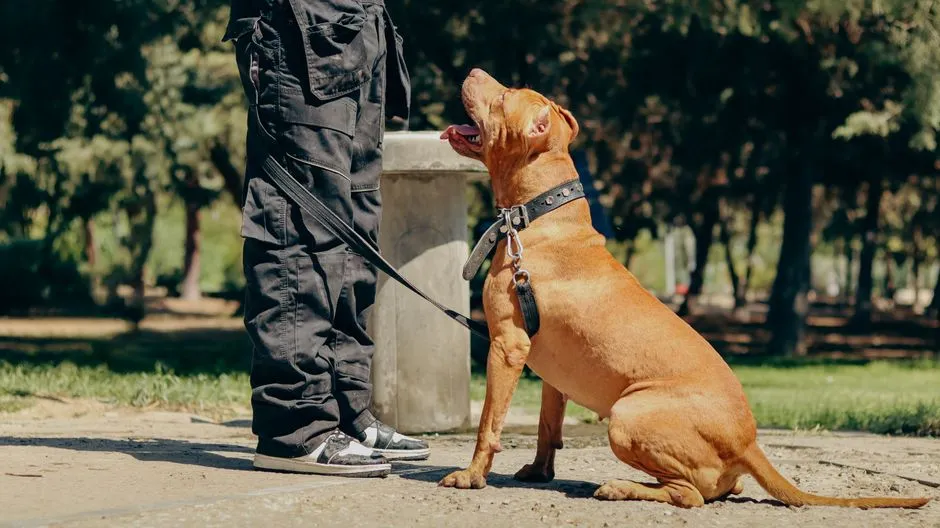 #9 - They Gently "Block" Others From Getting Too Close to You (Image Credits: Pexels)