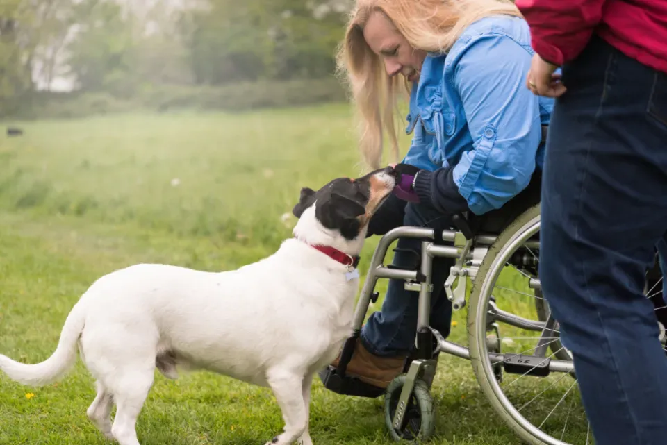 Understanding Individual Personalities (Image Credits: Stocksnap)