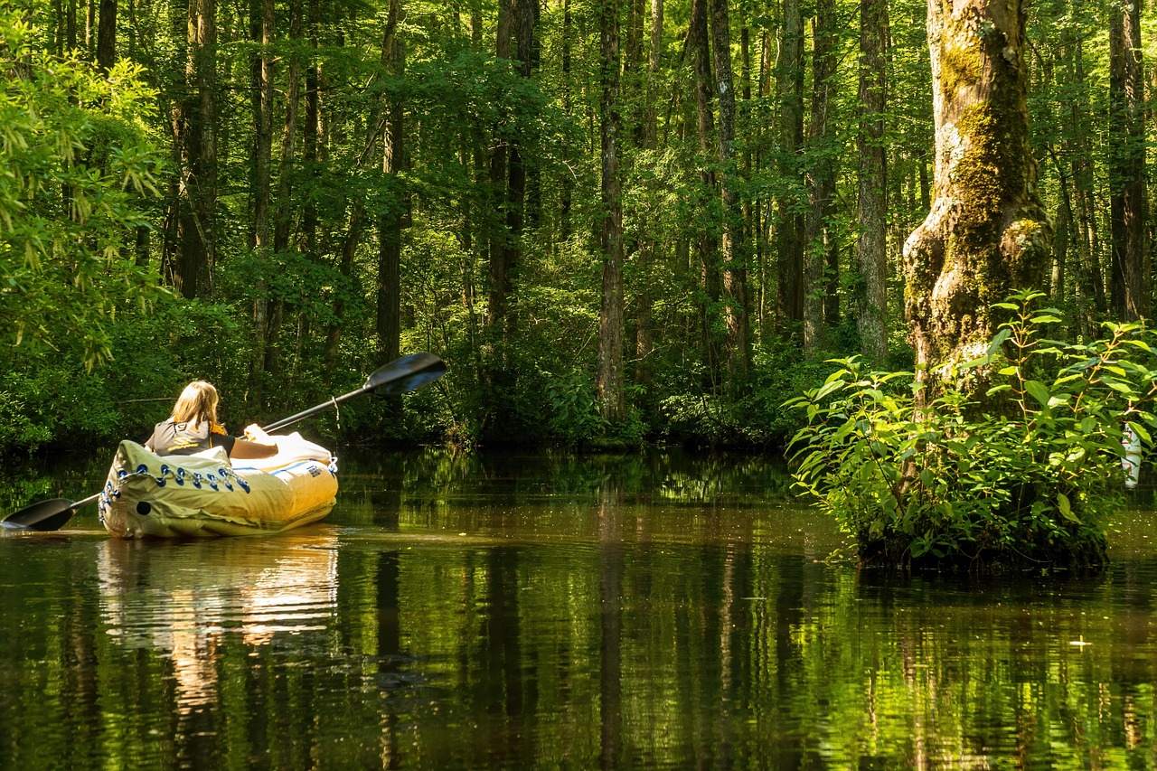 Okefenokee National Wildlife Refuge, Georgia (Image Credits: Pixabay)