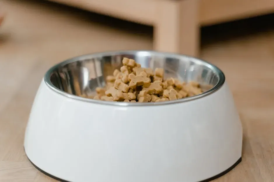 6. Leaving Pet Food Out Overnight (Image Credits: Pexels)