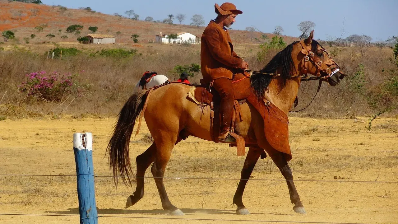 How the horse behaves in different situations (Image Credits: Pixabay)