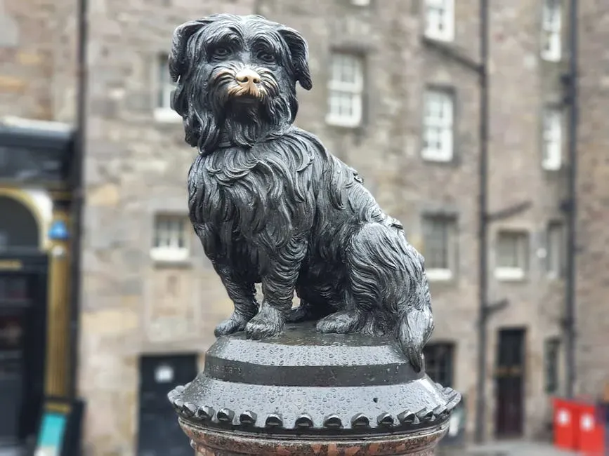 12. Skye Terrier - The Breed That Watched Over a Grave for 14 Years (Image Credits: Pexels)