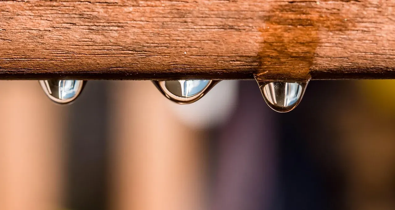 Why Moisture Matters More Than You Think (Image Credits: Pixabay)