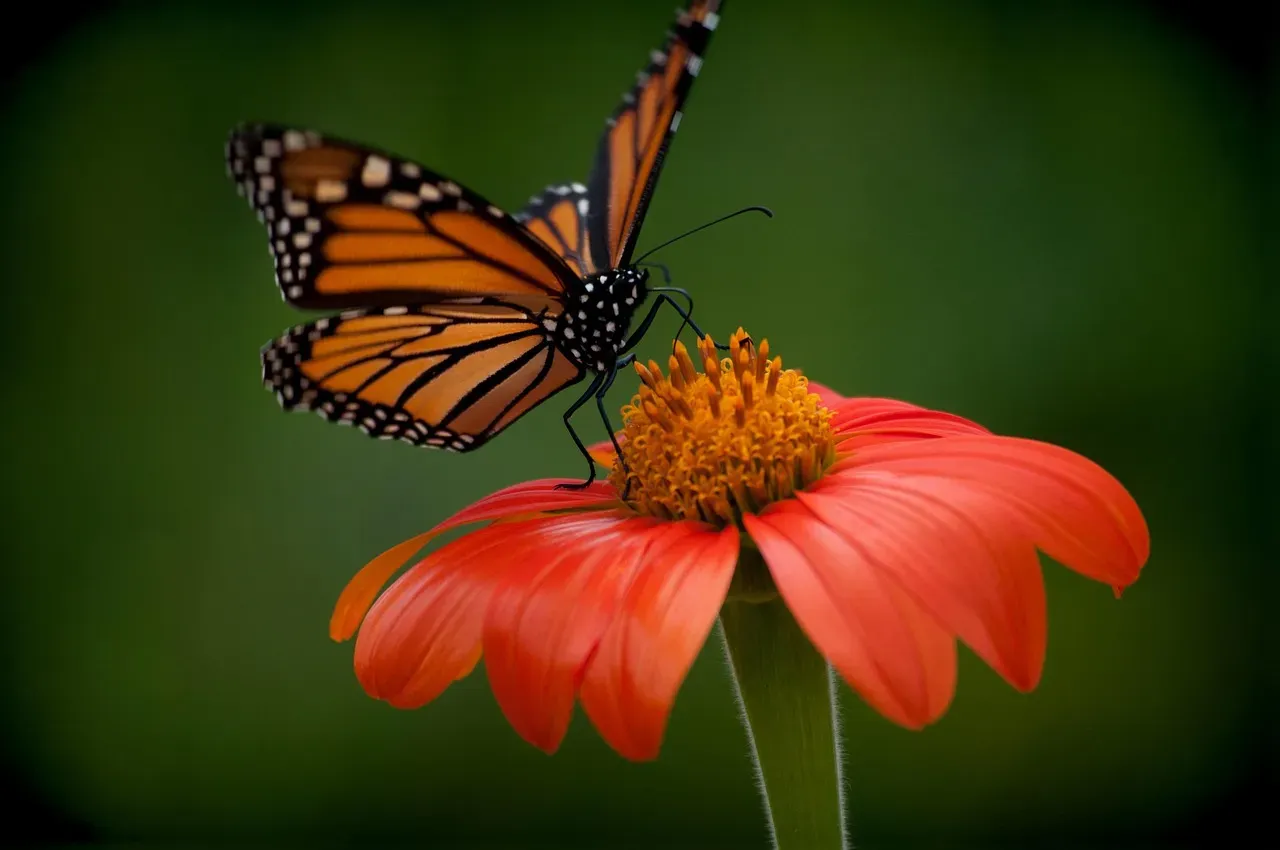 Fighting For Survival Against Mounting Threats (Image Credits: Pixabay)