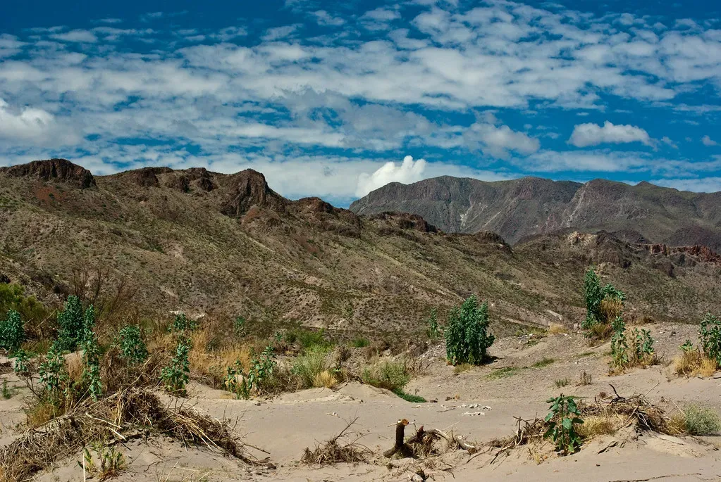 The Chihuahuan Desert: The Most Diverse Desert You've Never Heard Of (Image Credits: Flickr)