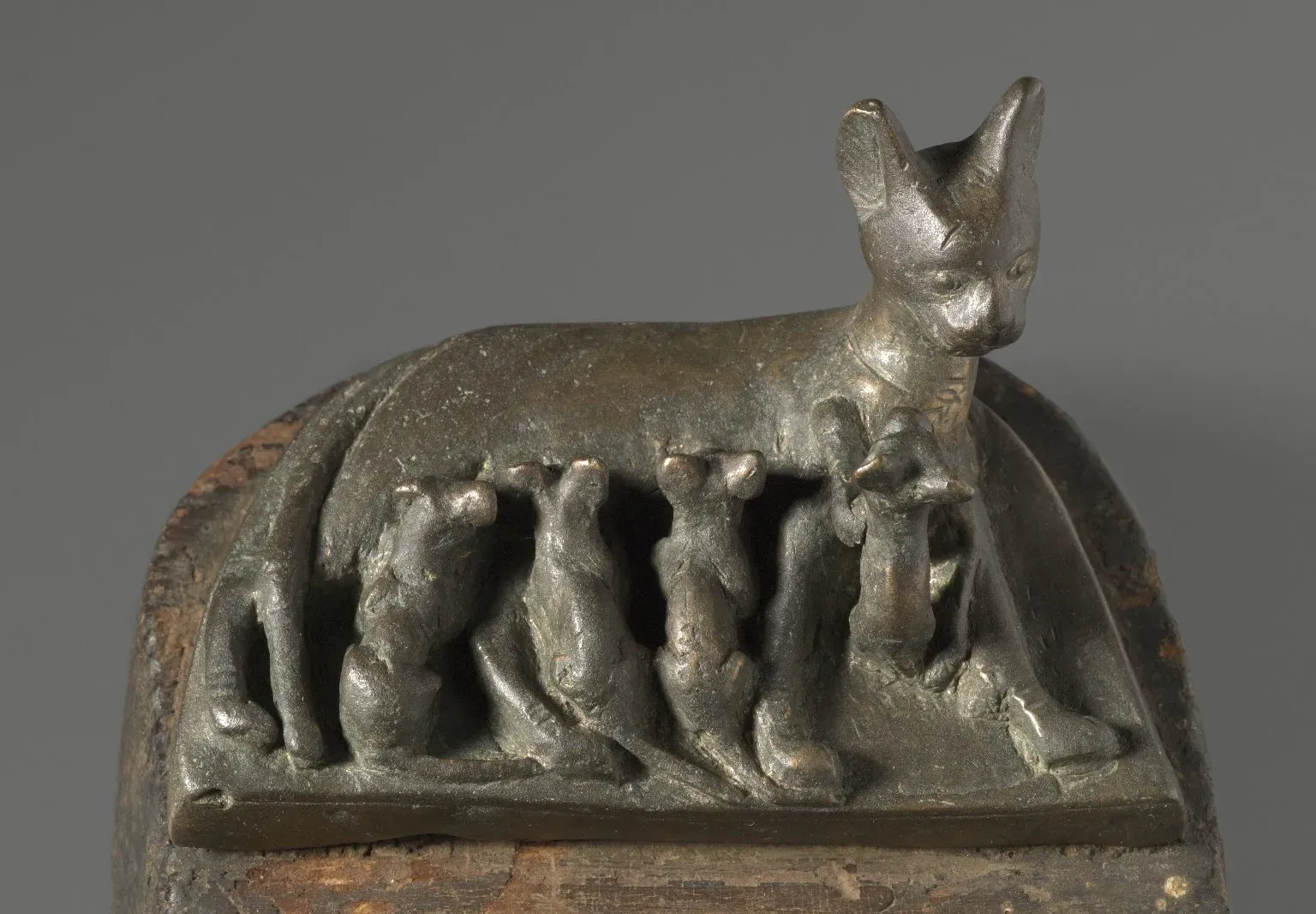 Egyptian Cats: Divine Energy in Feline Form (Image Credits: Wikimedia)