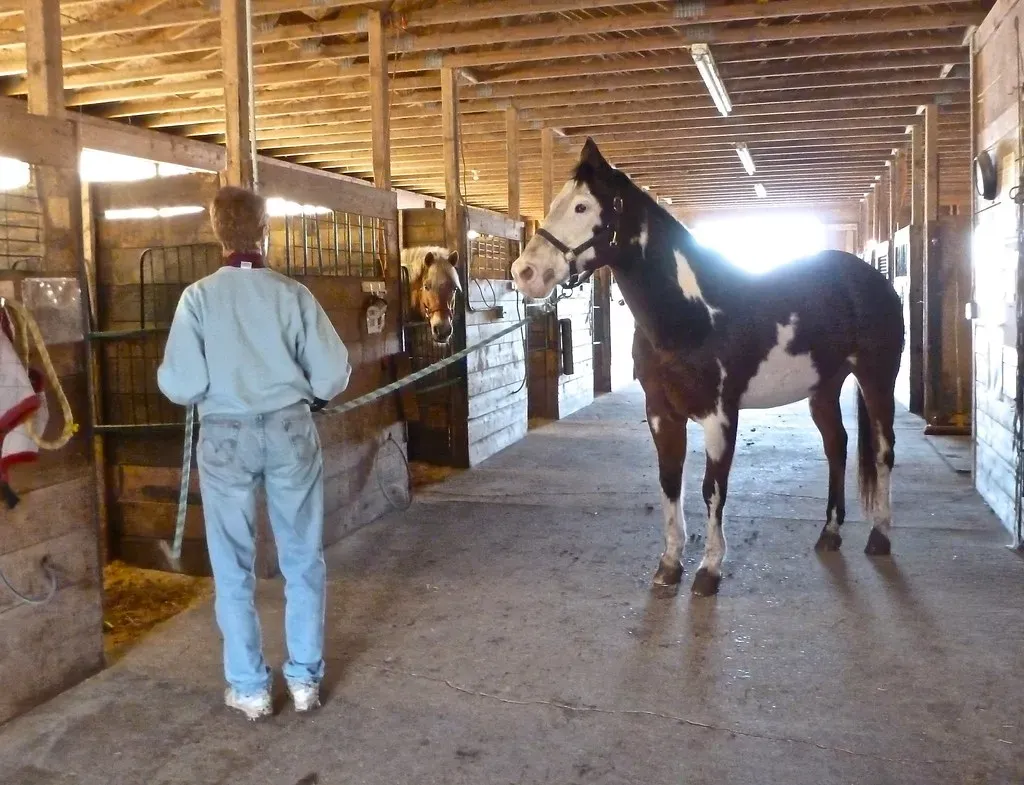 #14 &ndash; Overall Energy and Respect for the Barn Environment (Tatiana12, Flickr, CC BY 2.0)