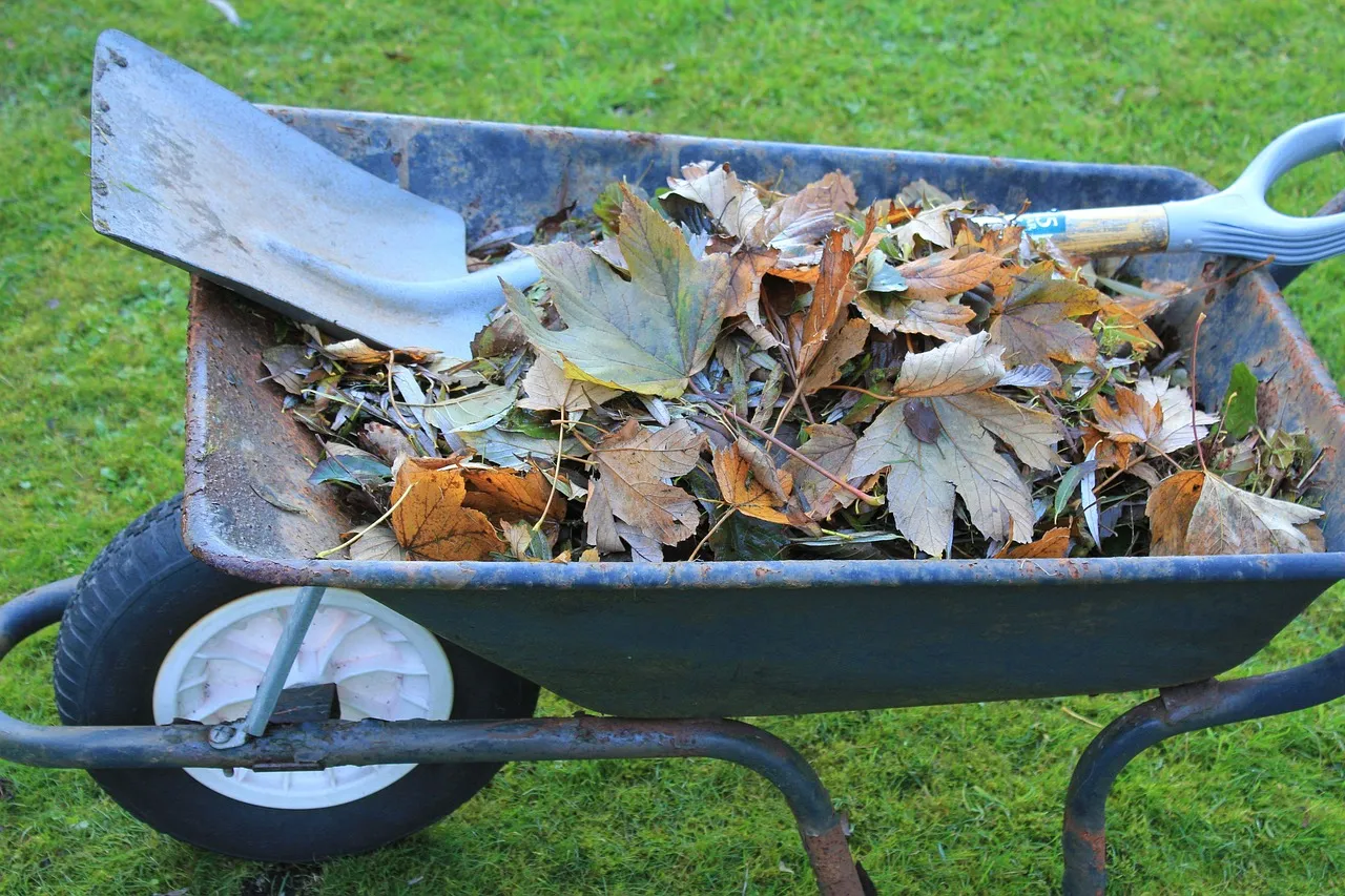 #5 - One Wheelbarrow of Compost Beats Ten Bags of Fancy Fertilizer (Image Credits: Pixabay)