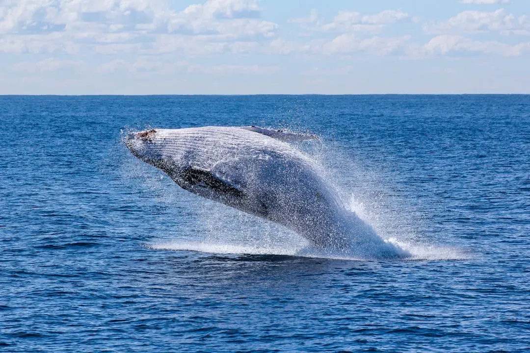 What This Means for Coastal Communities (Image Credits: Unsplash)