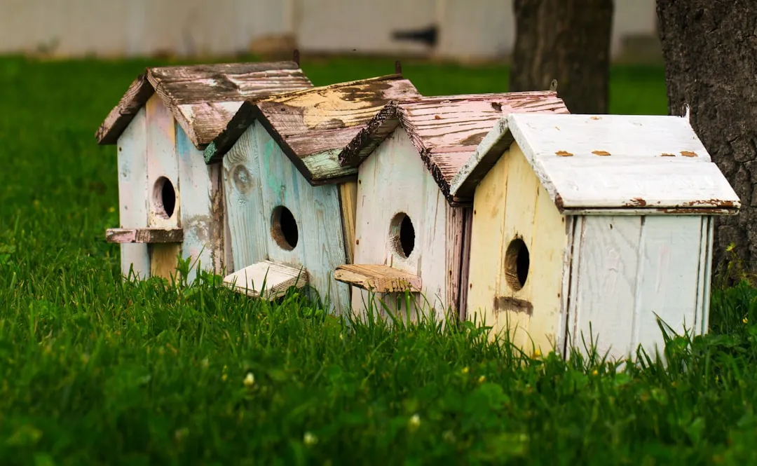 8. Check, Repair, and Position Nest Boxes for Winter Roosting (Image Credits: Unsplash)