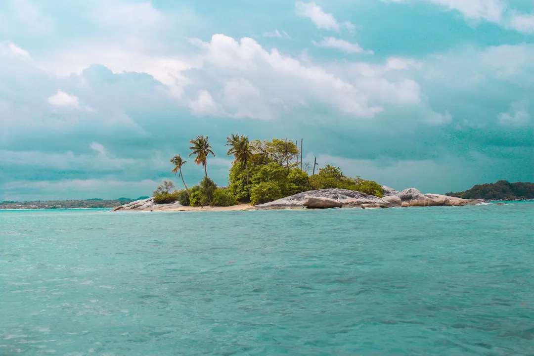 Southeast Arizona’s Sky Islands: A Different Bird World on Every Ridge (Image Credits: Unsplash)