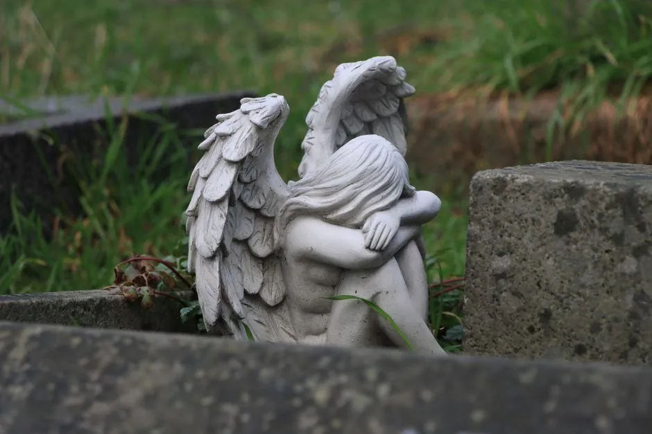 Grief Circuits: The Same Brain Regions Fire for Pets and People (Image Credits: Pexels)