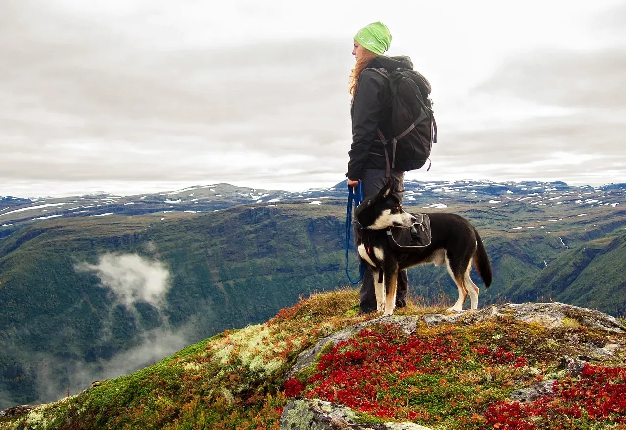 Aries: The Adventure Buddy (Image Credits: Pixabay)