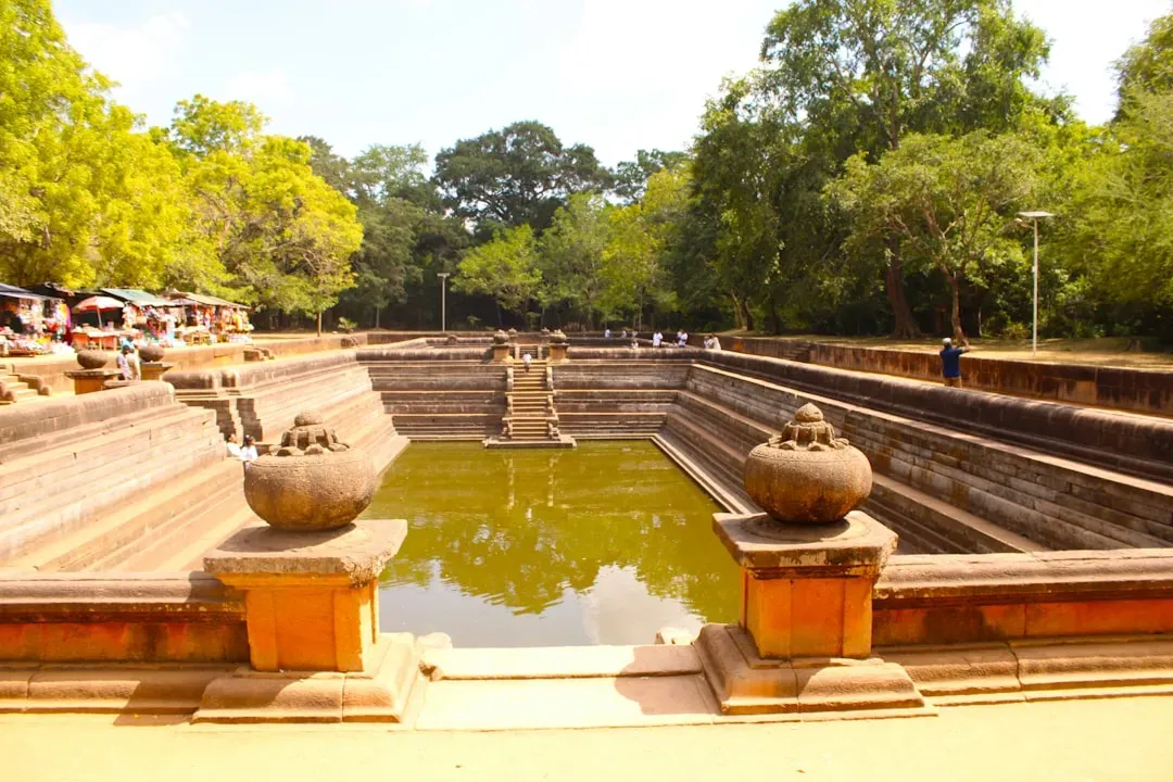 Pisces: The Sacred Waters of Anuradhapura (Image Credits: Unsplash)