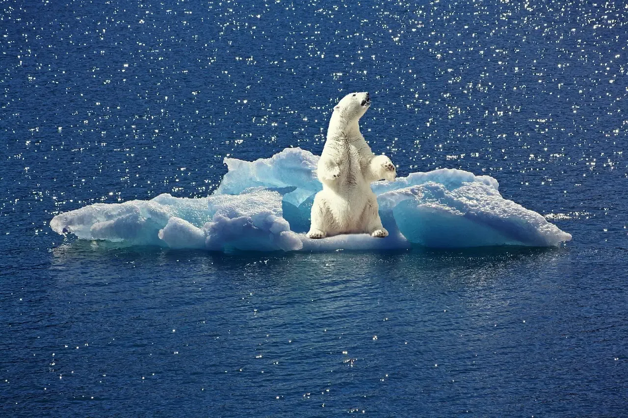 10. Their Future Is Deeply Tied to Sea Ice (Image Credits: Pixabay)