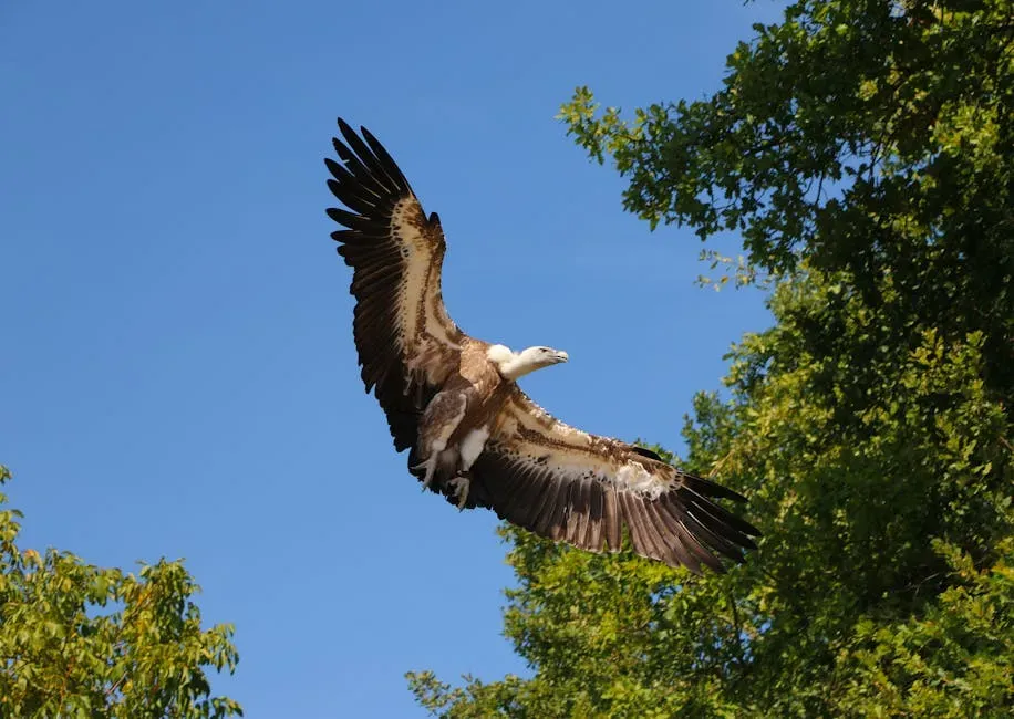1. A Wingspan That Rivals a Small Aircraft (Image Credits: Pexels)