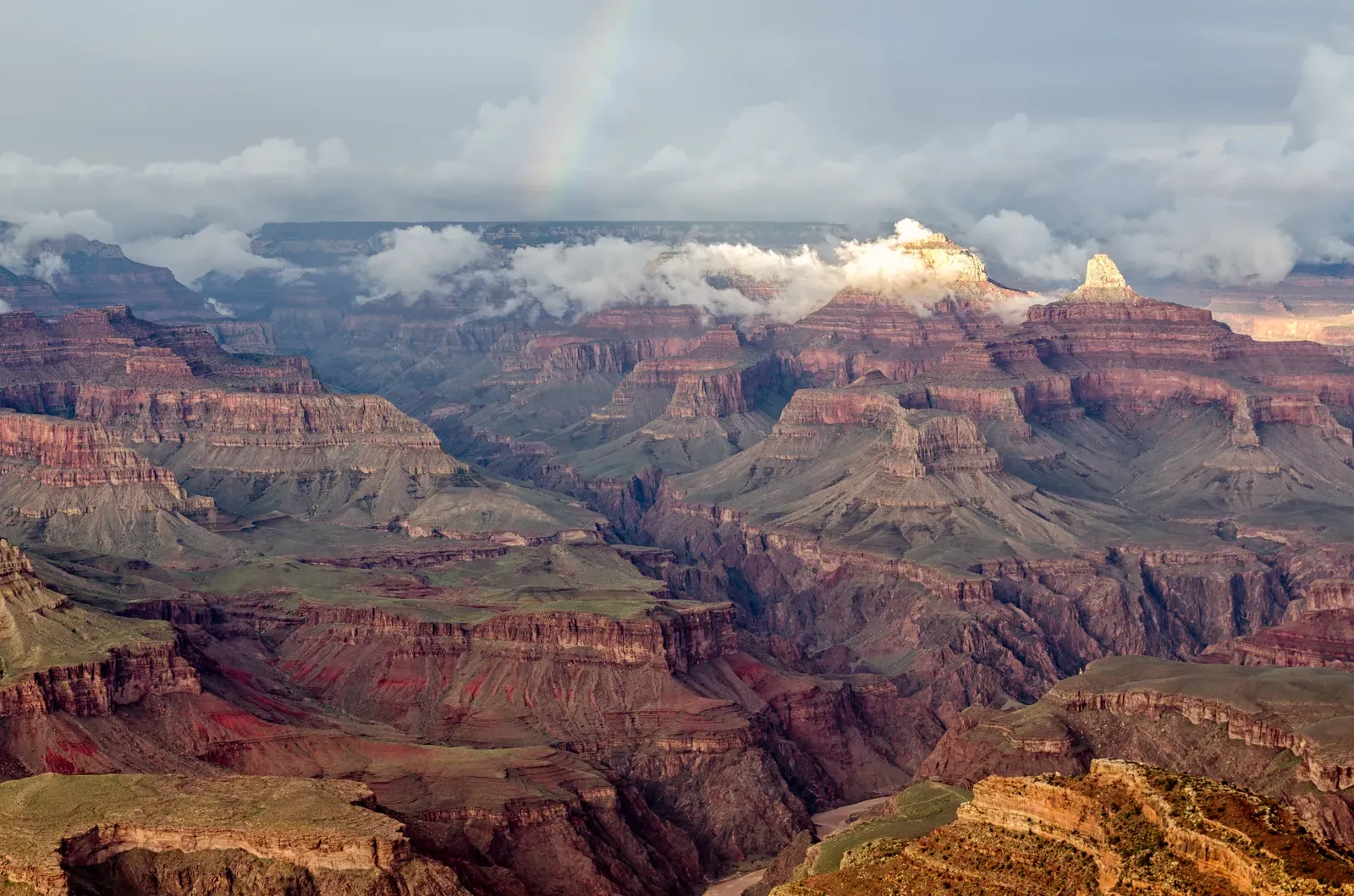 Grand Canyon North Rim (Image Credits: Wikimedia)