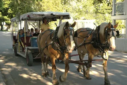 Mackinac Island, Michigan: Where Cars Never Were (Image Credits: Flickr)