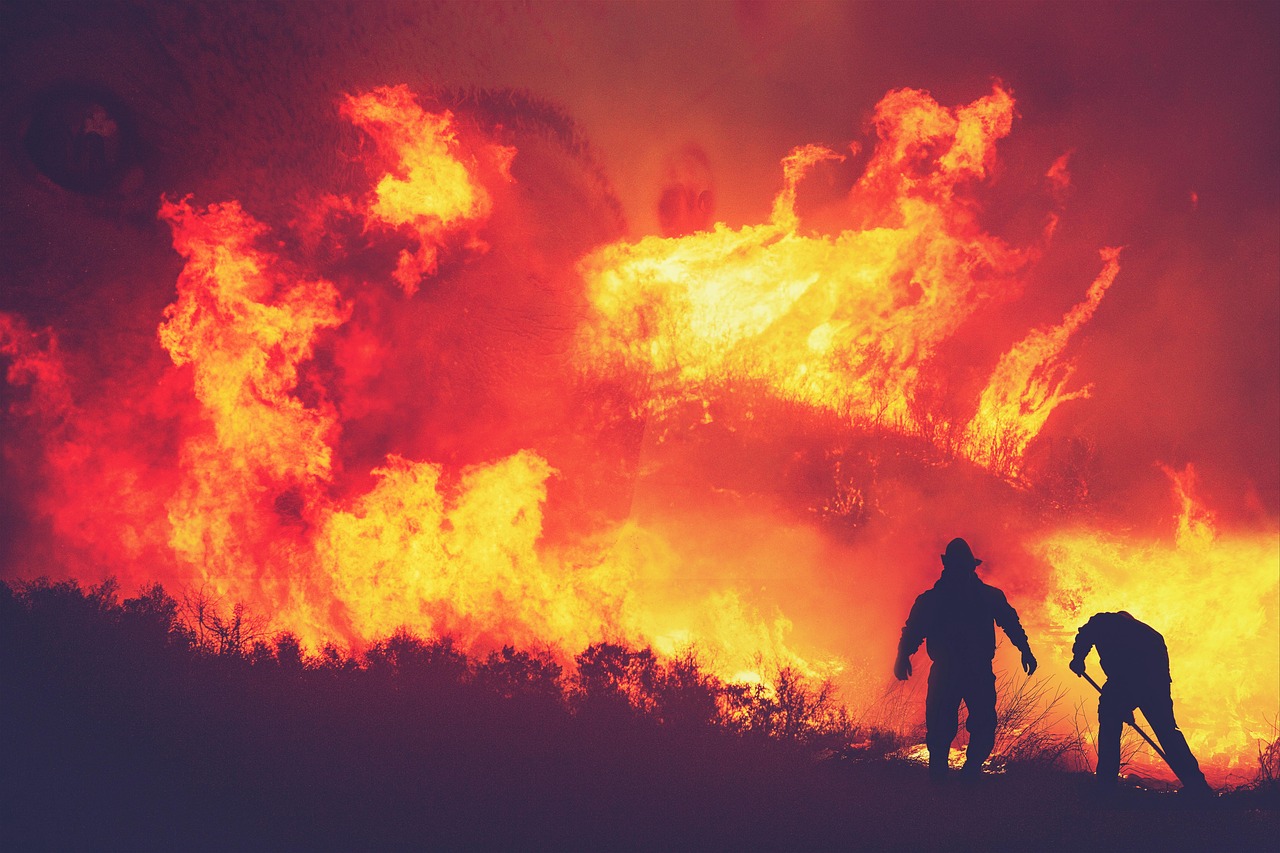Raging Wildfires That Devour Everything (Image Credits: Pixabay)