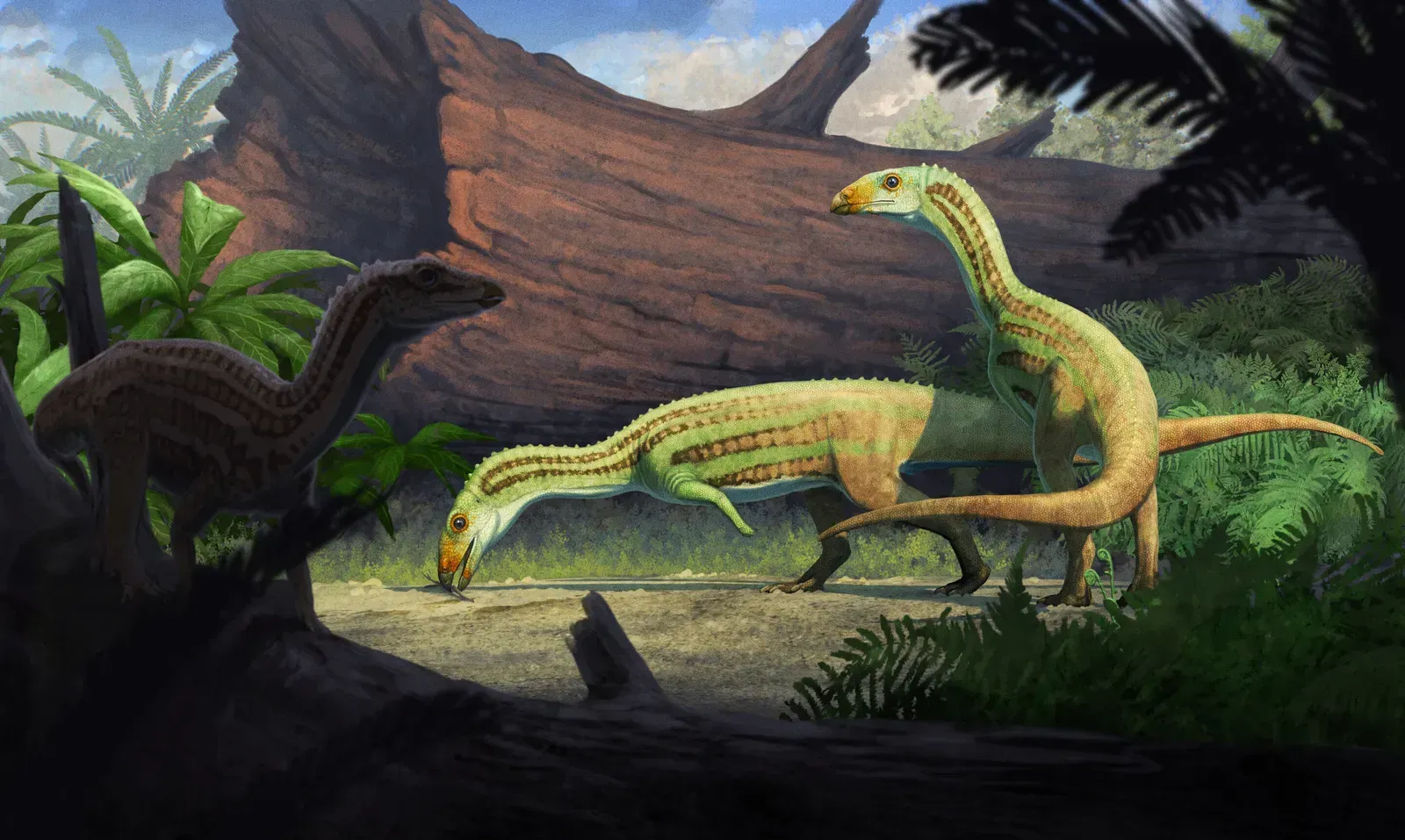What Made This Creature So Peculiar (Image Credits: Gabriel Ugueto)