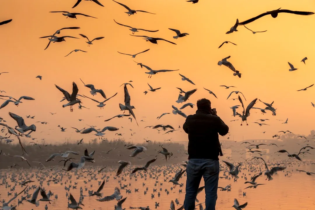 Practice Ethical Birdwatching (Image Credits: Unsplash)