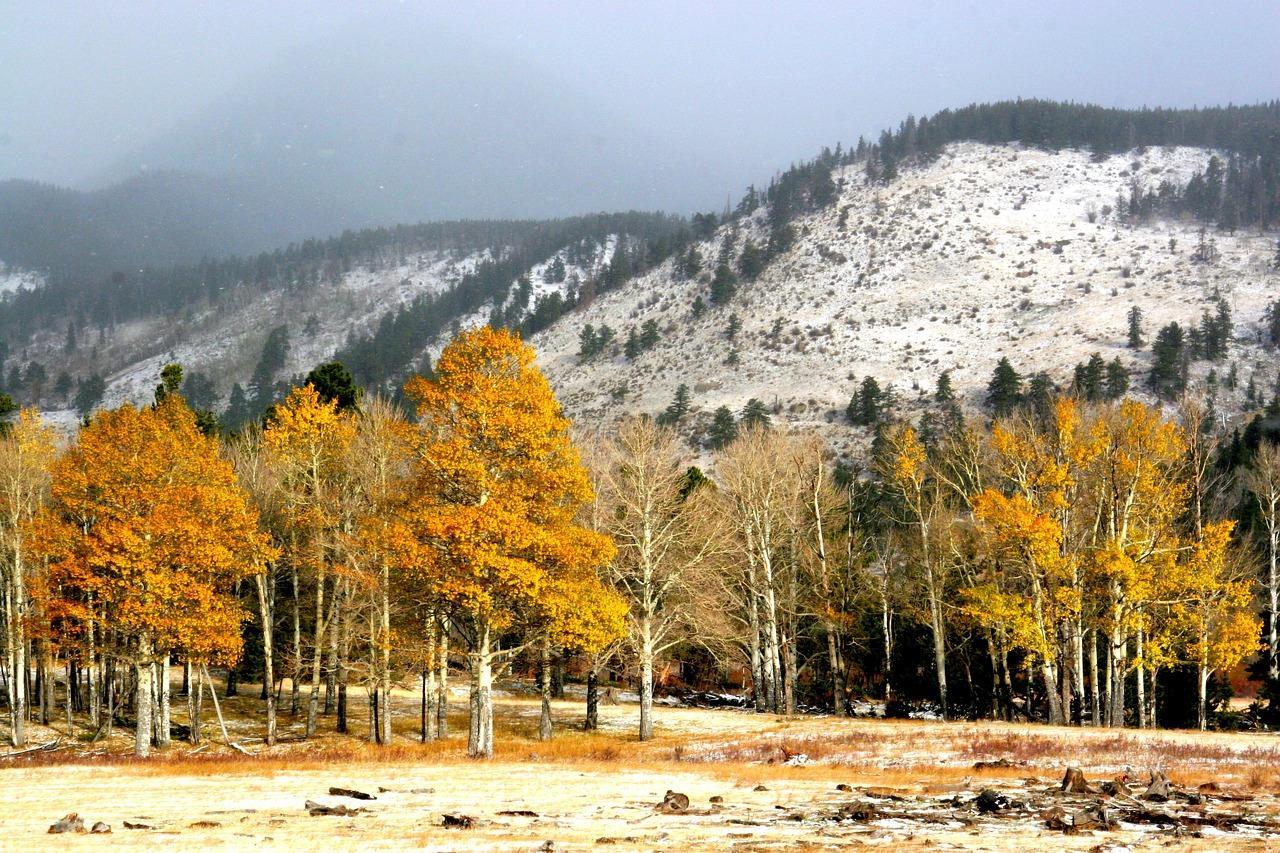 Rocky Mountain National Park, Colorado: Where Aspens Reign Supreme (Image Credits: Pixabay)