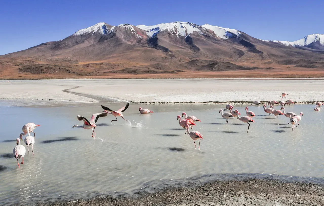 The Desert Southwest: Surprising Snowfall in High Country (Image Credits: Pixabay)