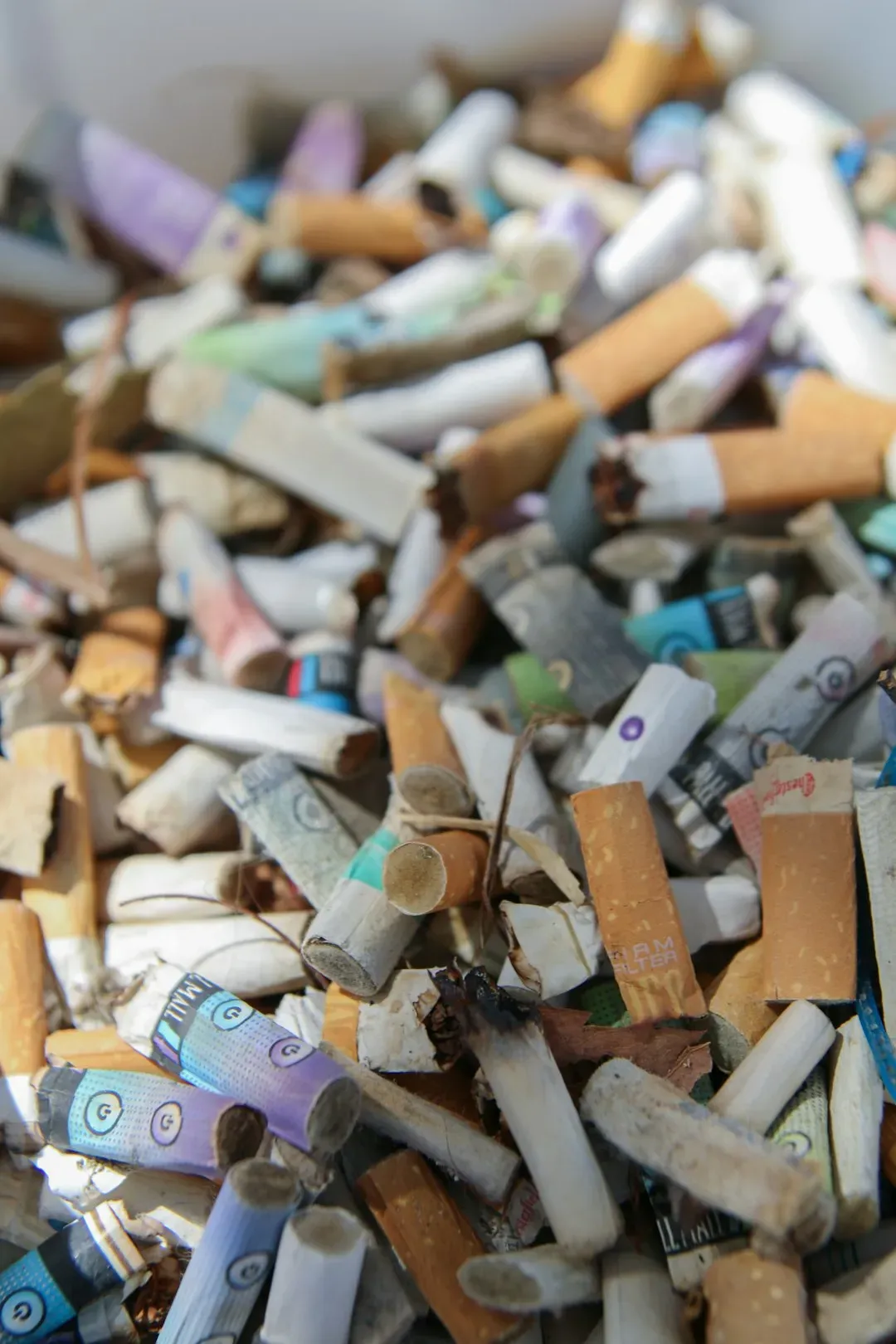 Nesting Materials Are Changing Too - and Not Always for the Better (Image Credits: Unsplash)