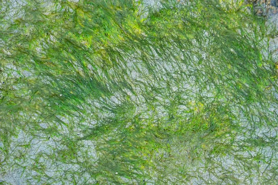 6. Maintaining Nutrient Cycles That Sustain All Life (Image Credits: Pexels)