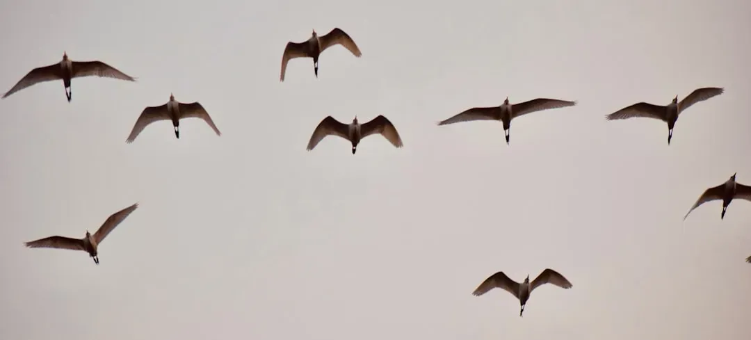 Bats Are Nature's Most Underrated Pest Control Agents (Image Credits: Unsplash)