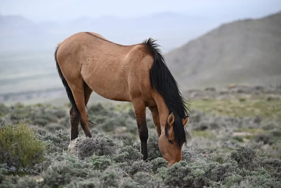 Conclusion: More Than a Horse (Image Credits: Pexels)