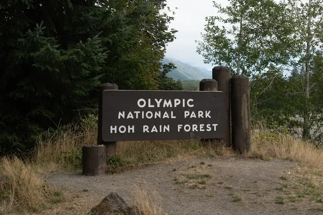 Olympic National Park's Extreme Rain Shadow Effect (Image Credits: Unsplash)